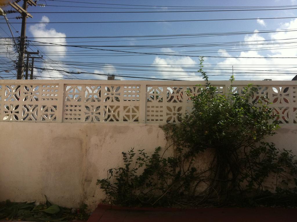 Mandakaru Hostel Fortaleza  Exterior photo